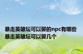 暴走英雄坛可以娶的npc有哪些 暴走英雄坛可以娶几个