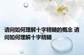 请问如何理解十字精髓的概念 请问如何理解十字精髓