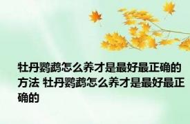 牡丹鹦鹉怎么养才是最好最正确的方法 牡丹鹦鹉怎么养才是最好最正确的