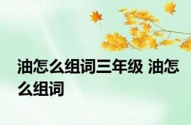 油怎么组词三年级 油怎么组词