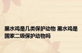 黑水鸡是几类保护动物 黑水鸡是国家二级保护动物吗