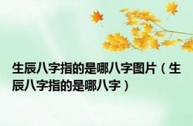 生辰八字指的是哪八字图片（生辰八字指的是哪八字）