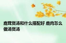 鹿茸煲汤和什么搭配好 鹿肉怎么做汤煲汤