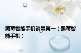黑莓智能手机销量第一（黑莓智能手机）