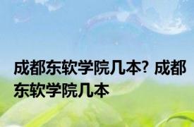 成都东软学院几本? 成都东软学院几本