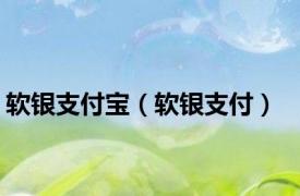 软银支付宝（软银支付）