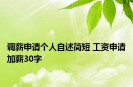 调薪申请个人自述简短 工资申请加薪30字