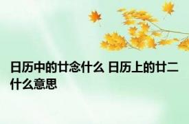 日历中的廿念什么 日历上的廿二什么意思