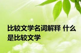 比较文学名词解释 什么是比较文学 