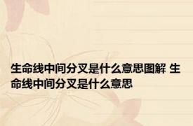 生命线中间分叉是什么意思图解 生命线中间分叉是什么意思