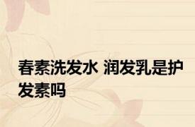 春素洗发水 润发乳是护发素吗
