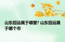 山东招远属于哪里? 山东招远属于哪个市