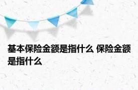 基本保险金额是指什么 保险金额是指什么