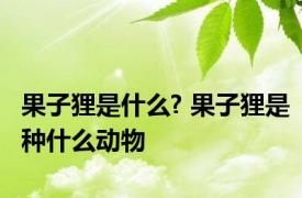 果子狸是什么? 果子狸是种什么动物