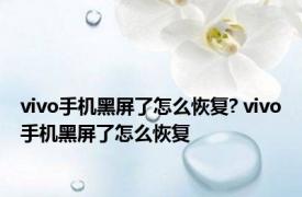vivo手机黑屏了怎么恢复? vivo手机黑屏了怎么恢复