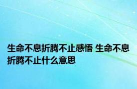生命不息折腾不止感悟 生命不息折腾不止什么意思