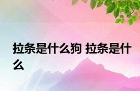 拉条是什么狗 拉条是什么