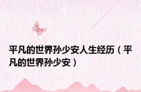 平凡的世界孙少安人生经历（平凡的世界孙少安）