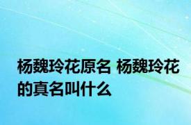 杨魏玲花原名 杨魏玲花的真名叫什么