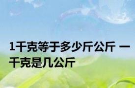 1千克等于多少斤公斤 一千克是几公斤