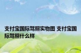 支付宝国际驾照实物图 支付宝国际驾照什么样