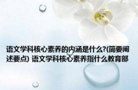 语文学科核心素养的内涵是什么?(简要阐述要点) 语文学科核心素养指什么教育部