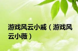 游戏风云小戚（游戏风云小薇）
