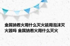 金属钠着火用什么灭火能用泡沫灭火器吗 金属钠着火用什么灭火