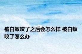 被白蚁咬了之后会怎么样 被白蚁咬了怎么办