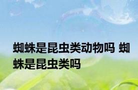 蜘蛛是昆虫类动物吗 蜘蛛是昆虫类吗
