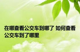 在哪查看公交车到哪了 如何查看公交车到了哪里