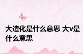 大造化是什么意思 大v是什么意思