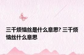 三千烦恼丝是什么意思? 三千烦恼丝什么意思