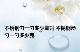 不锈钢勺一勺多少毫升 不锈钢汤勺一勺多少克