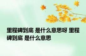 里程碑到底 是什么意思呀 里程碑到底 是什么意思