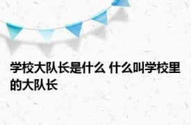 学校大队长是什么 什么叫学校里的大队长