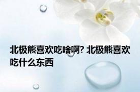 北极熊喜欢吃啥啊? 北极熊喜欢吃什么东西