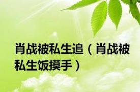 肖战被私生追（肖战被私生饭摸手）
