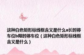 这种白色矩形标线框含义是什么a长时停车位b限时停车位（这种白色矩形标线框含义是什么）