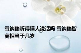 雪纳瑞听得懂人说话吗 雪纳瑞智商相当于几岁