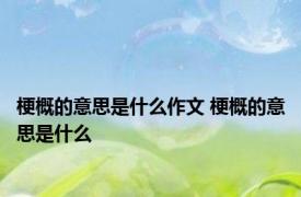梗概的意思是什么作文 梗概的意思是什么