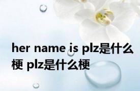 her name is plz是什么梗 plz是什么梗