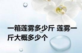 一箱莲雾多少斤 莲雾一斤大概多少个