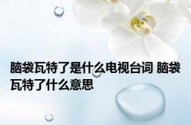 脑袋瓦特了是什么电视台词 脑袋瓦特了什么意思