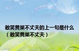敢笑黄巢不丈夫的上一句是什么（敢笑黄巢不丈夫）