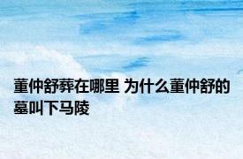 董仲舒葬在哪里 为什么董仲舒的墓叫下马陵