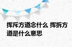 挥斥方遒念什么 挥拆方遒是什么意思