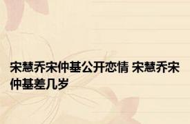 宋慧乔宋仲基公开恋情 宋慧乔宋仲基差几岁