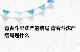 青春斗里沈严的结局 青春斗沈严结局是什么