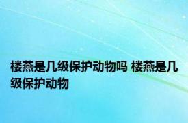 楼燕是几级保护动物吗 楼燕是几级保护动物
